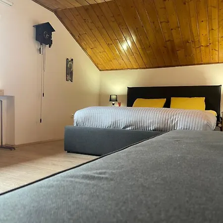 Art Deco Vakantiehuis Ustroń